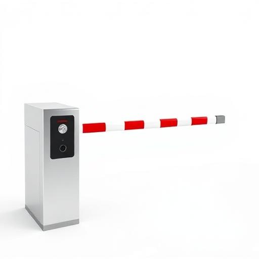 Boom Barriers & Entry